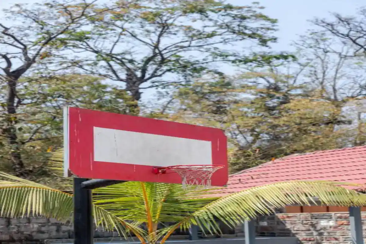 Basketball court for sports activities at B Hive Resort Londa near Dandeli