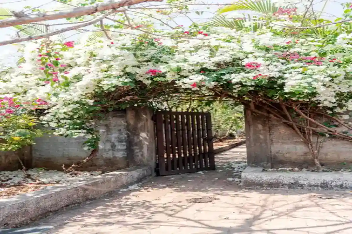 Villa exterior with traditional architecture at B Hive riverside resort