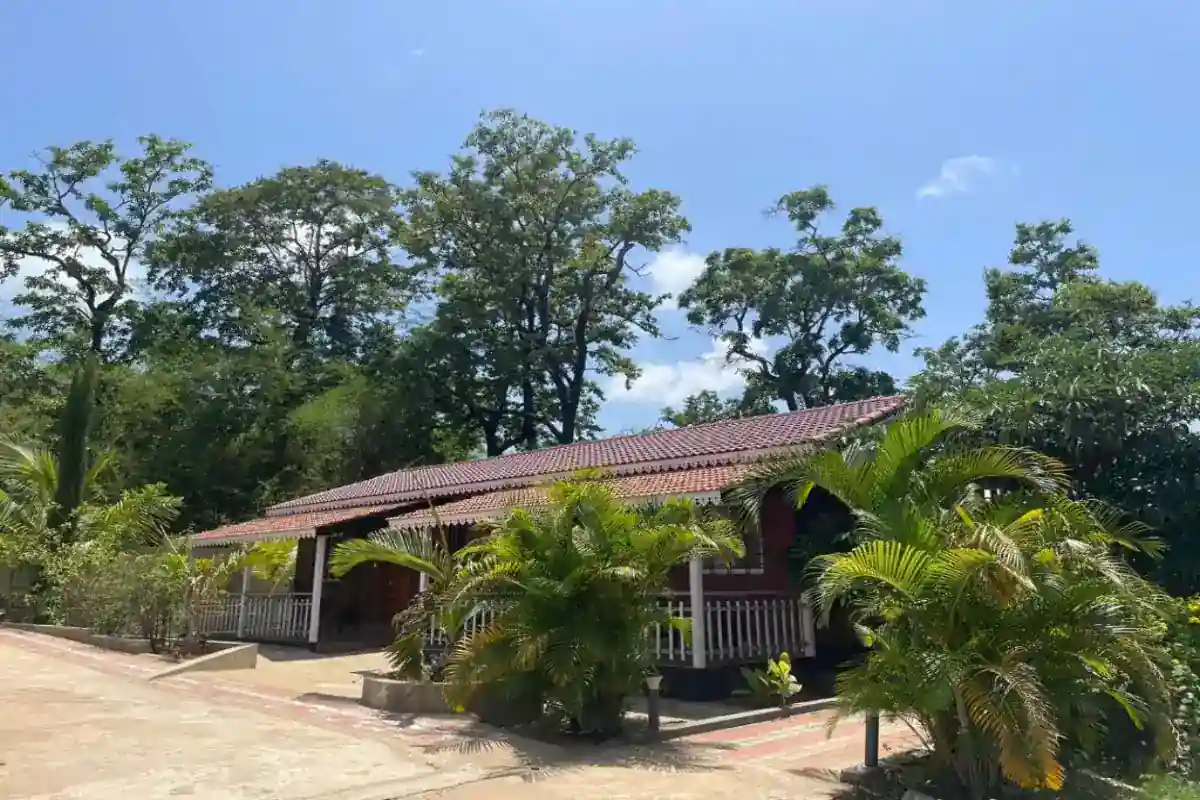 Guests enjoying pool activities and water fun at B Hive Resort swimming pool