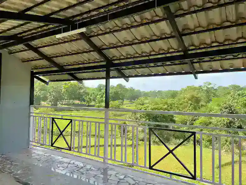 Lush green landscape and natural surroundings at B Hive eco resort near Dandeli