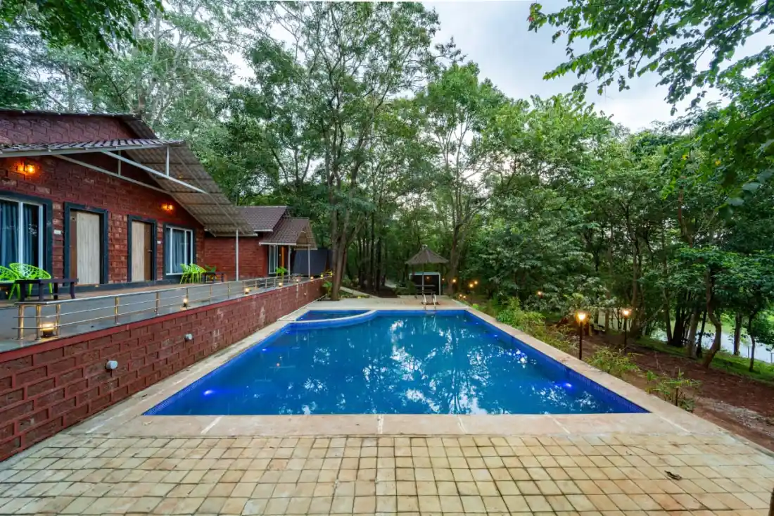 Panoramic view of Rain Forest Resort swimming pool with cottages and forest backdrop in Dandeli