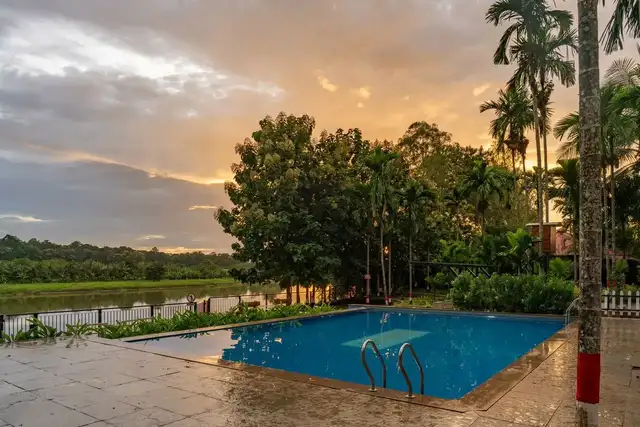 Swimming pool at River Edge Retreat with serene forest and river backdrop